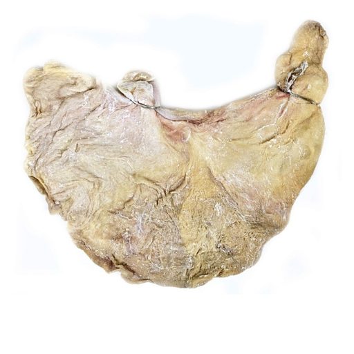 Sertés gyomor import